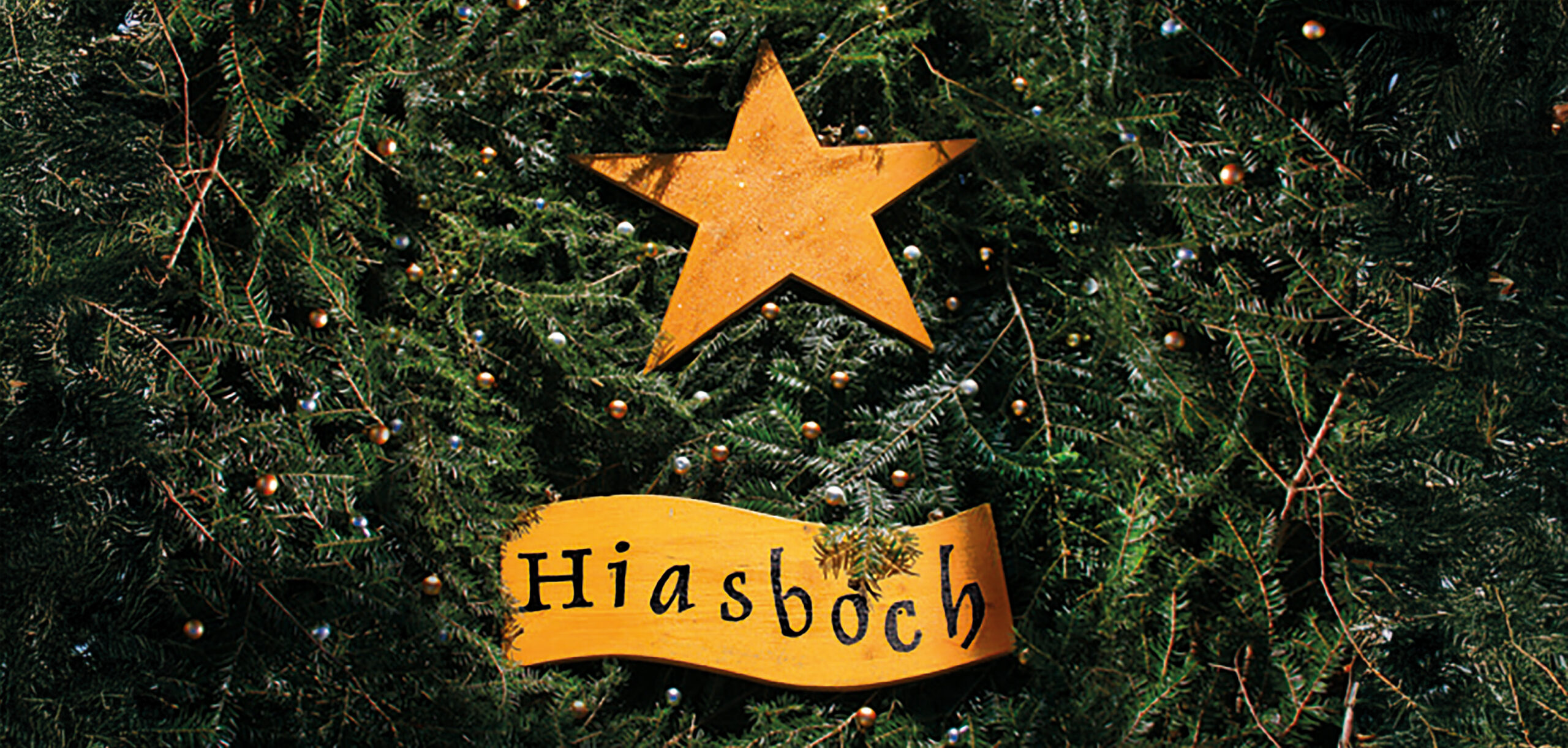 Magische Momente am Adventmarkt der Werkstätte Hiesbach